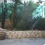 With Parking Space Supetar, Brac - 2896 Apartament *